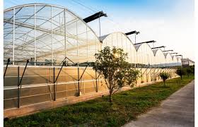 آیا لوله دست دوم گلخانه ای ارزش خرید دارد؟